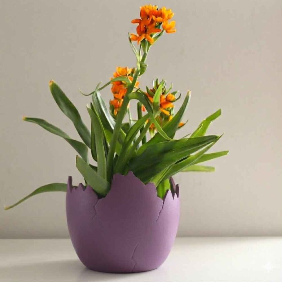 Yumurta Saksı Dikey