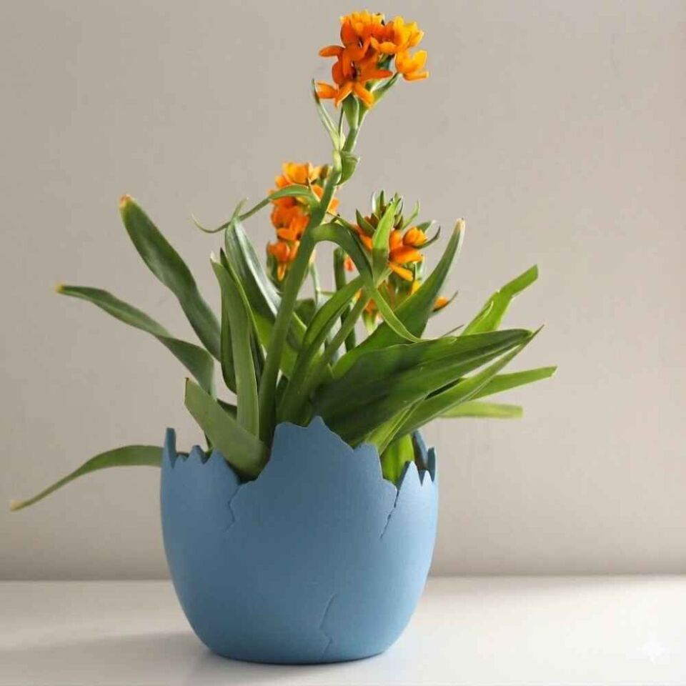 Yumurta Saksı Dikey