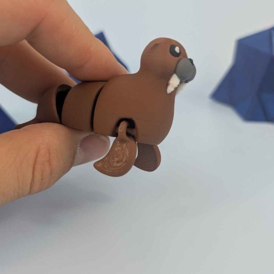 Deniz Ayısı  - Hareketli