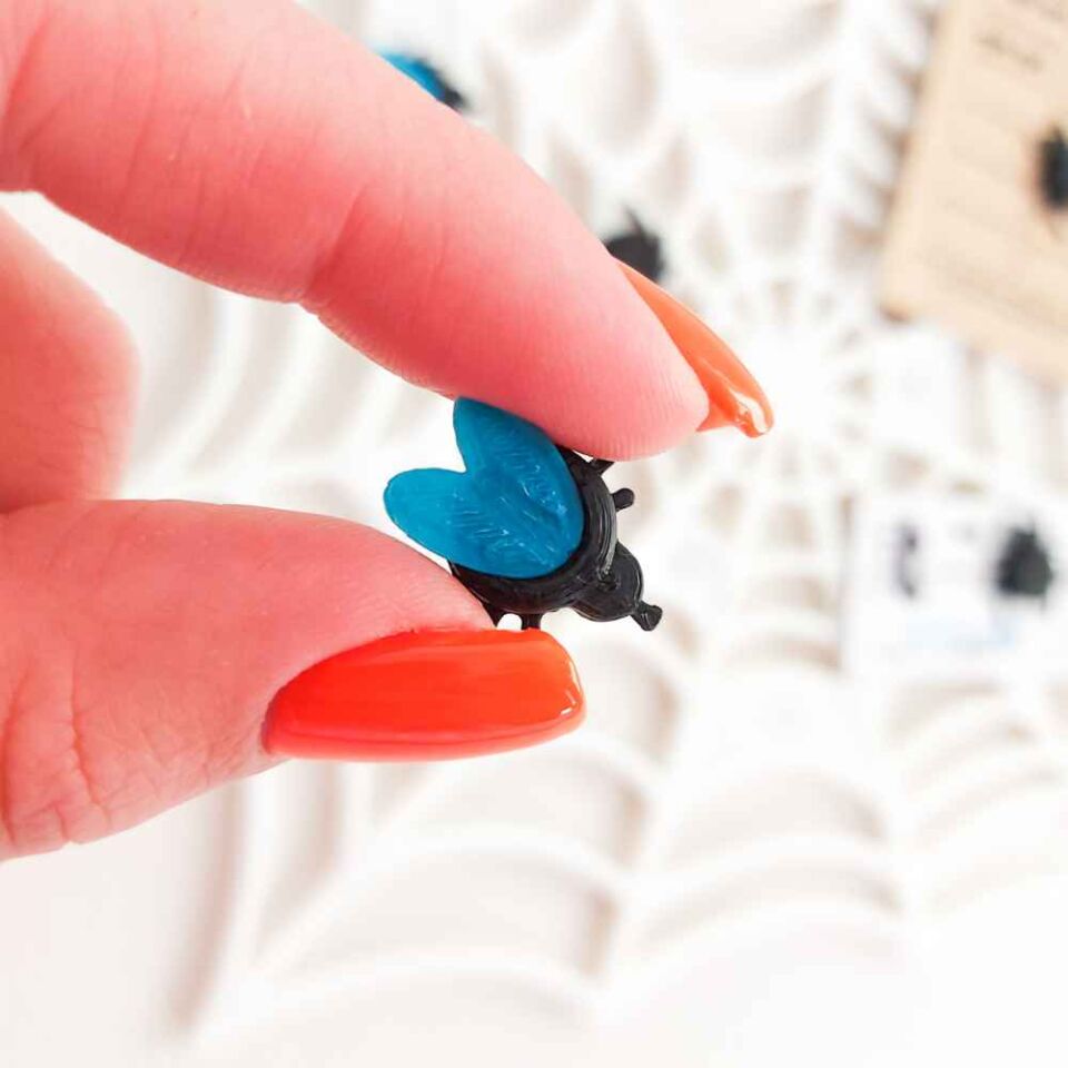 Örümcek Ağı Panosu