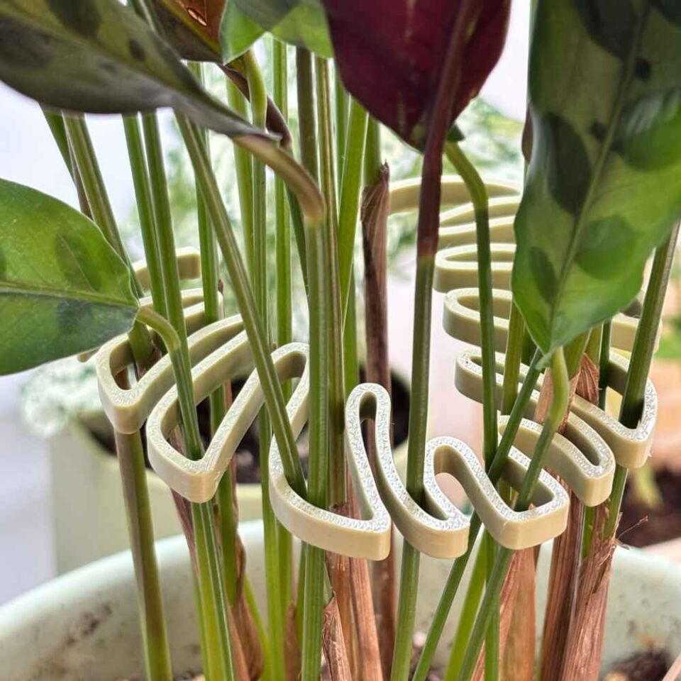 Bitki Şekillendirici