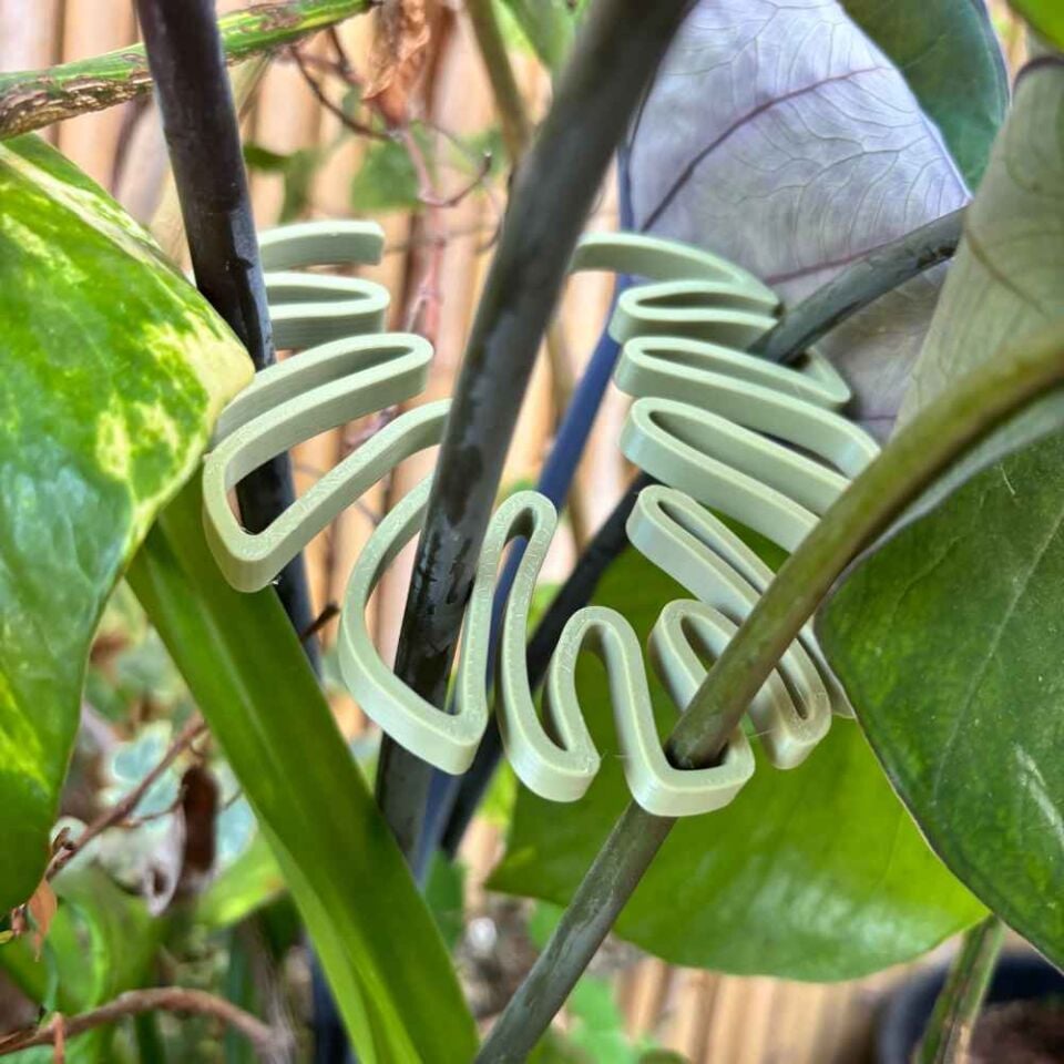 Bitki Şekillendirici