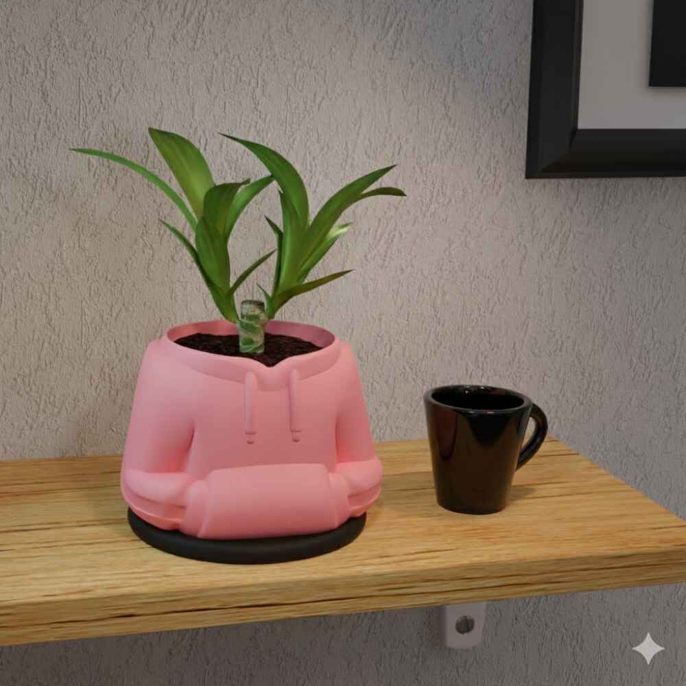 Sweatshirt Temalı Saksı