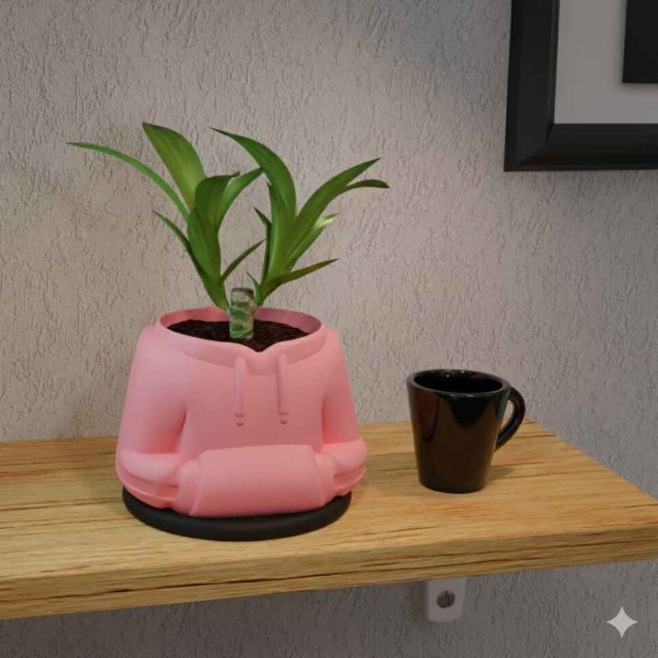 Sweatshirt Temalı Saksı