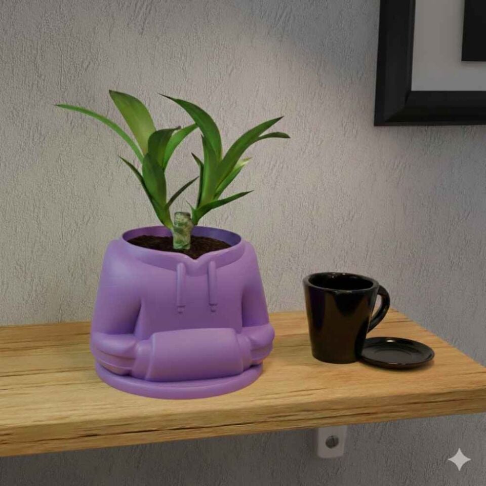 Sweatshirt Temalı Saksı