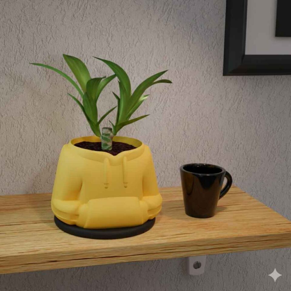 Sweatshirt Temalı Saksı