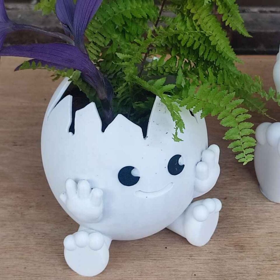 Yumurta Temalı Saksı