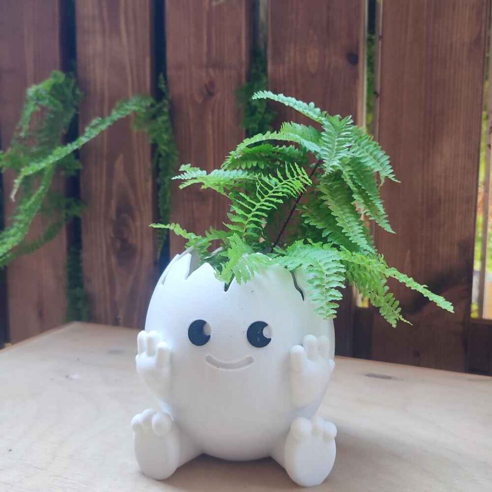 Yumurta Temalı Saksı