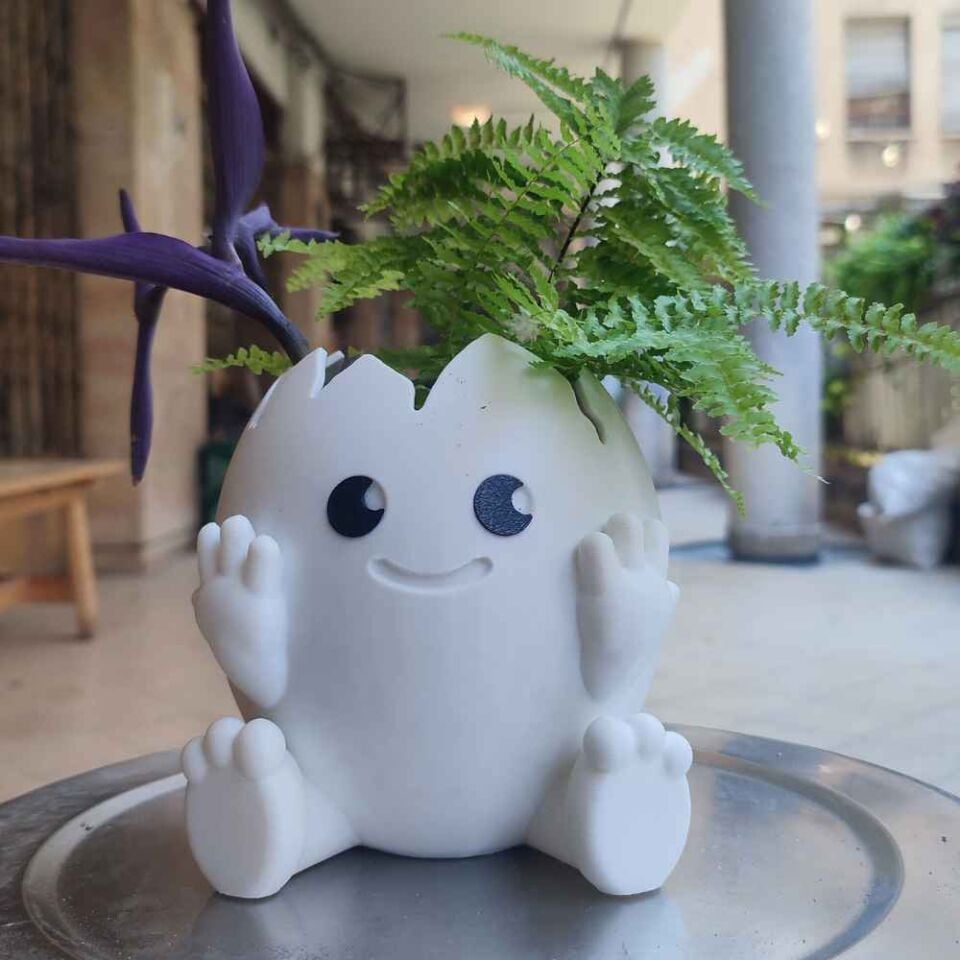 Yumurta Temalı Saksı